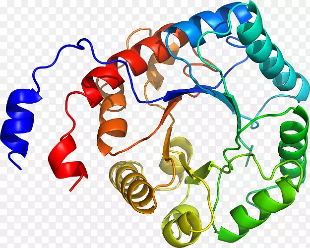 ���������л����߼�������-������