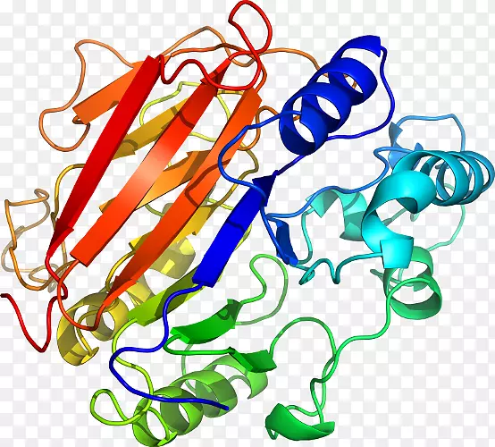 �����鱦���л����������-������