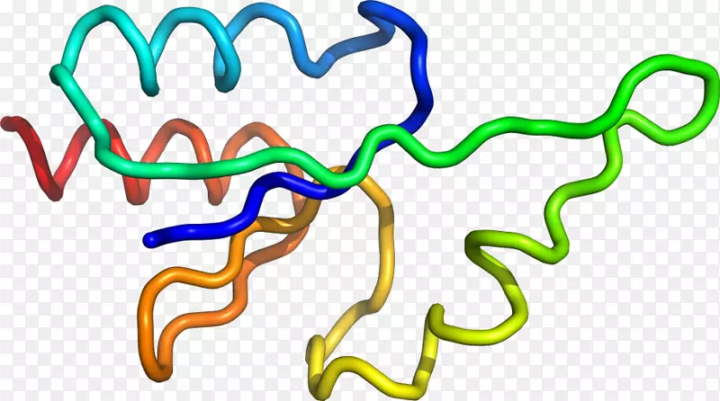 ���������л����߼�������-������