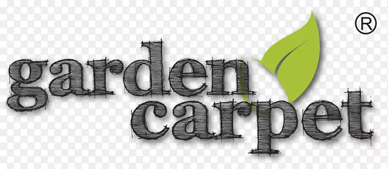 �̱�����-r��־��̺-������