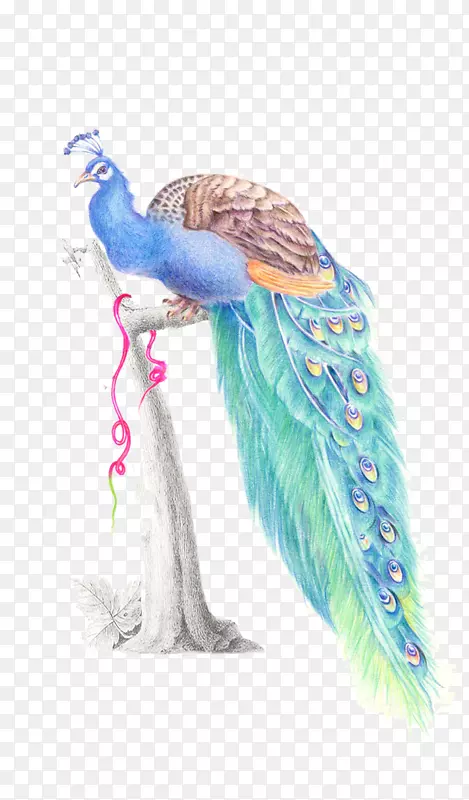 ��ëˮ�ʻ���ȸ-������