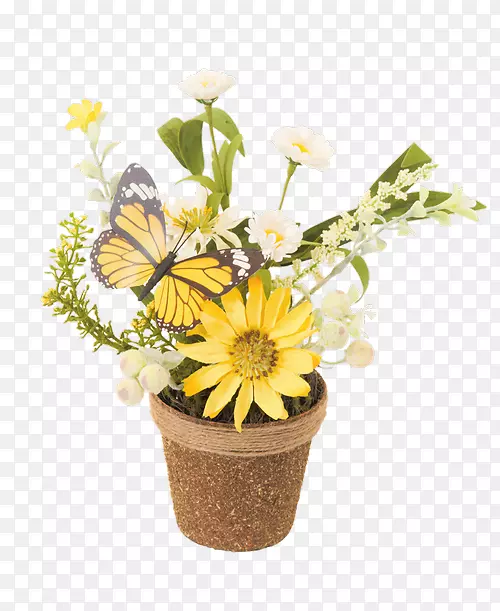 ��������л���ƿ������ƿ-������