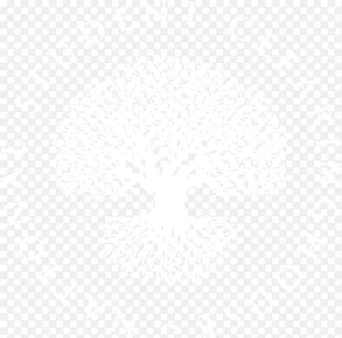 ���Ϲ���ѧ����������ѧ������ʼ��ձ��������-�����ʼ�-������