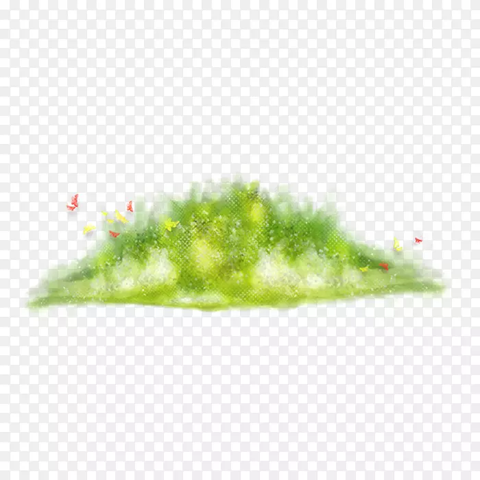 �����ؼ�������-��-������