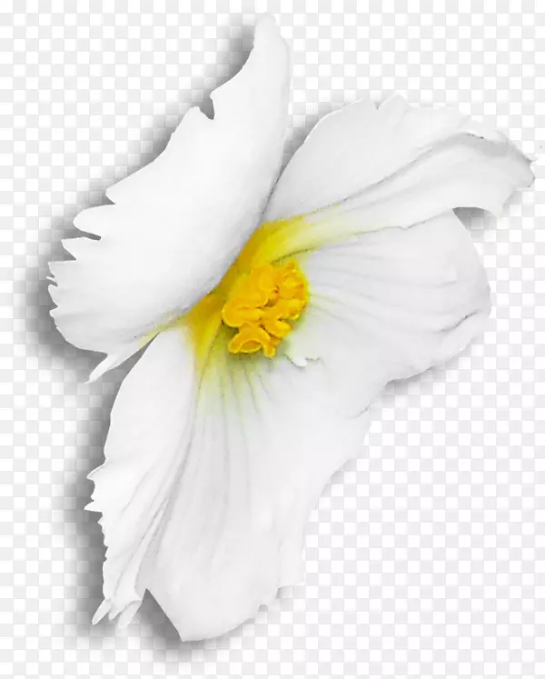 5��20�յ����ʼ�����-������