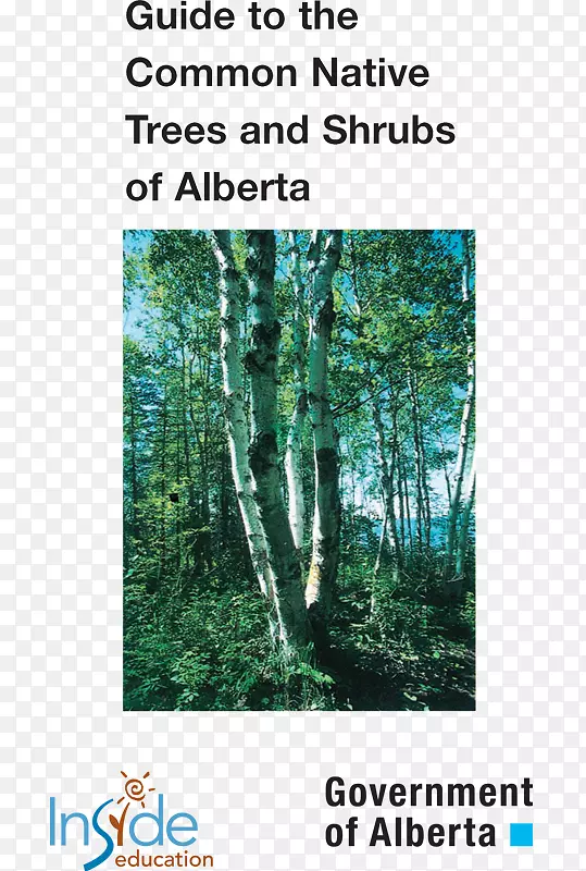 ��ѧˮ��Դ��Ŀ����Ⱥ��-��ѧ-������