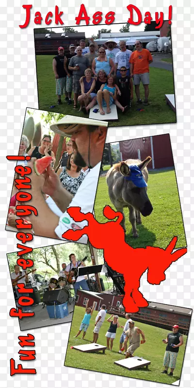 ���������˶���Ӱ��Ϸ-ƴ��-������