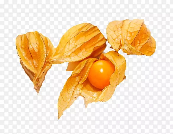 ��³ӣ�ҹ�����������ʳ-ʳ��-������