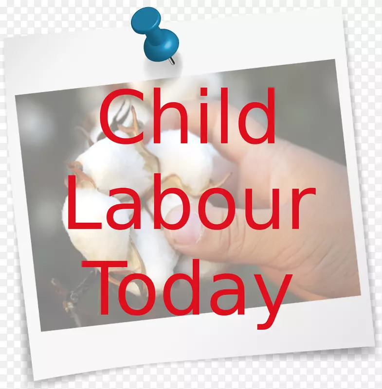 �ؿ�����������-������