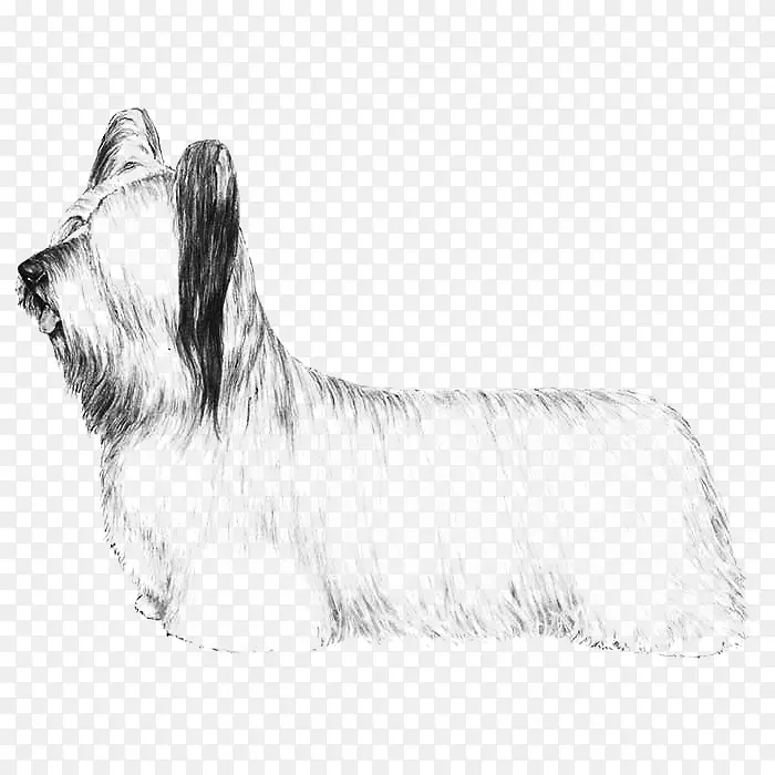 ˹����Ȯ�����ף��Ĵ�����˿����Ȯ��������Ȯ����˹����Ȯ-ŵά����Ȯ-������