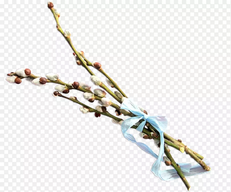 ��֦-������