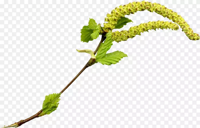 ����������������-������