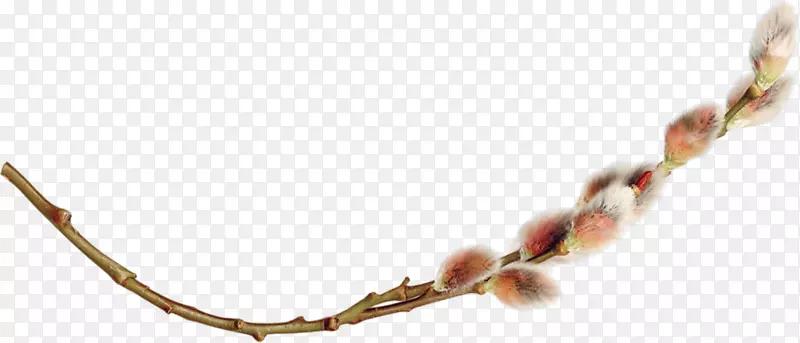 �����鱦����-�鱦-������