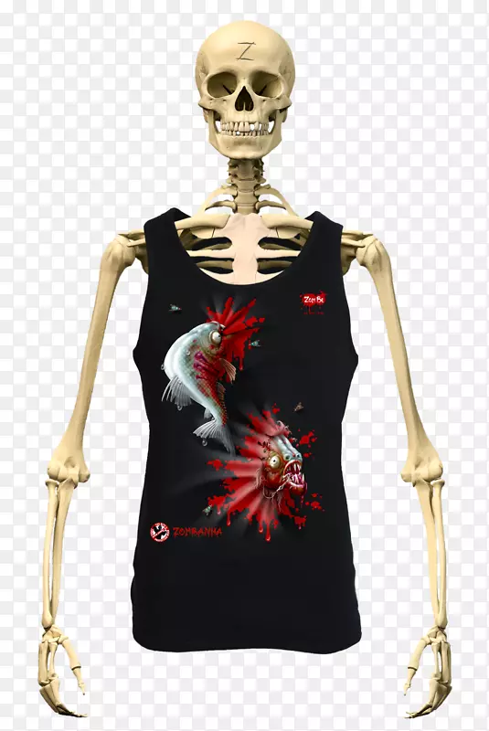 ӡ��t��ñ������-������