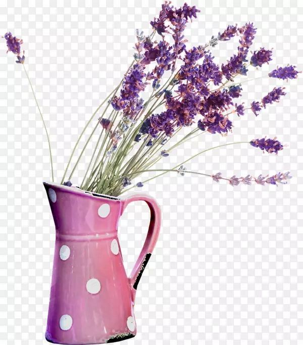 Ӣ��޹�²ݾ��ͷ���޹�²���-������