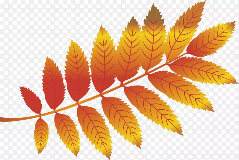 ��Ҷ-��Ҷ������������ЧӦ-������