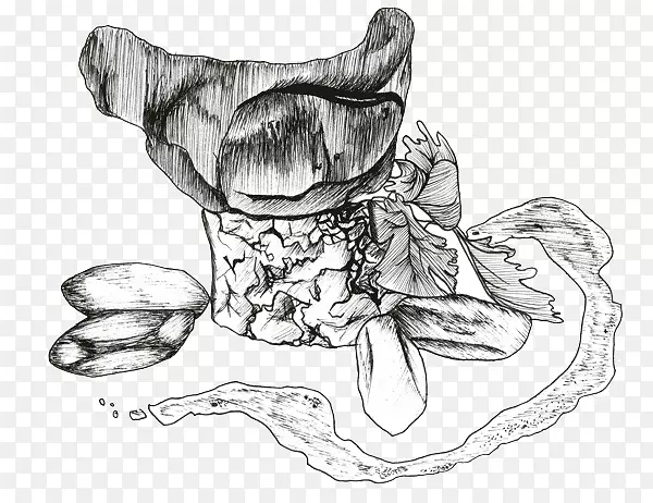 ��ָ�Ӿ���������.����ʿ���-������