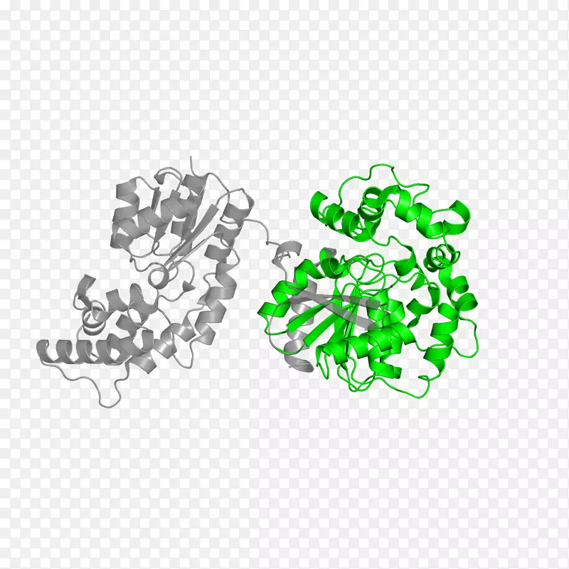 ��־����������-������