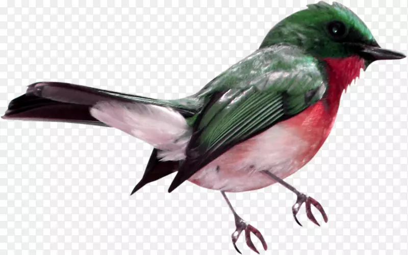 �����ë�����-����-������