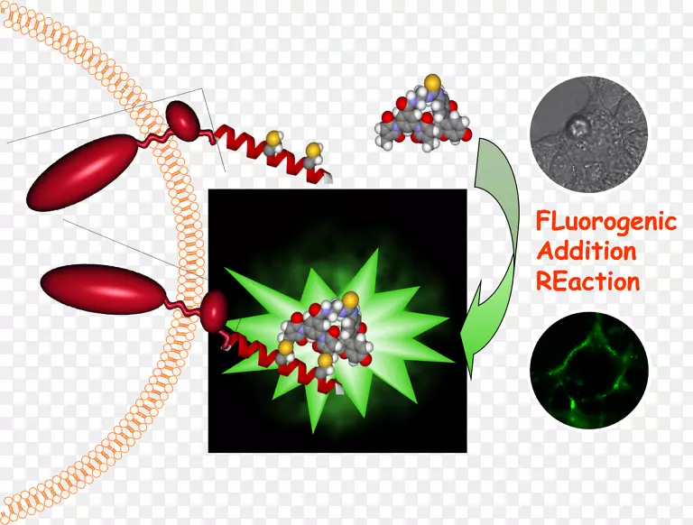 �����鱦����-������