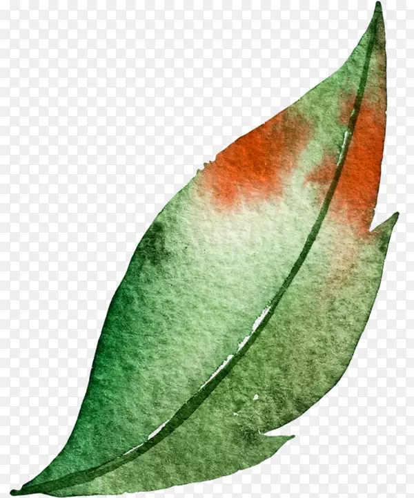 ˮ�ʻ�Ҷ��Ҷ-������