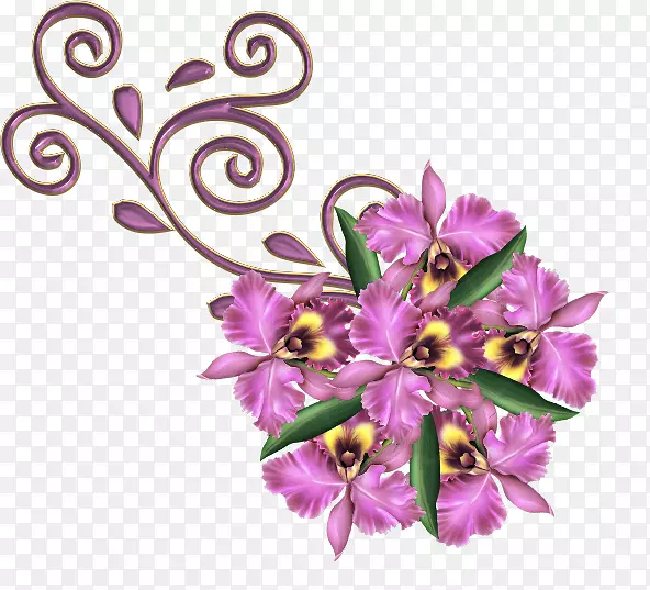 ��������л�����-������