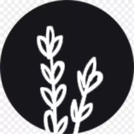 ֲ���ɫ����-ֲ��-������