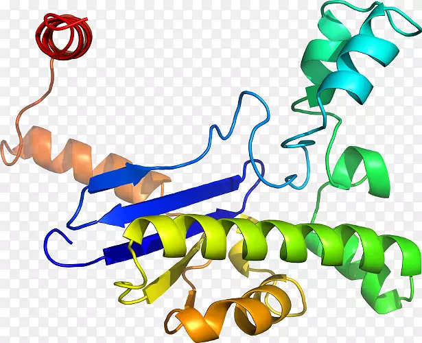 ���������л����߼�������-������