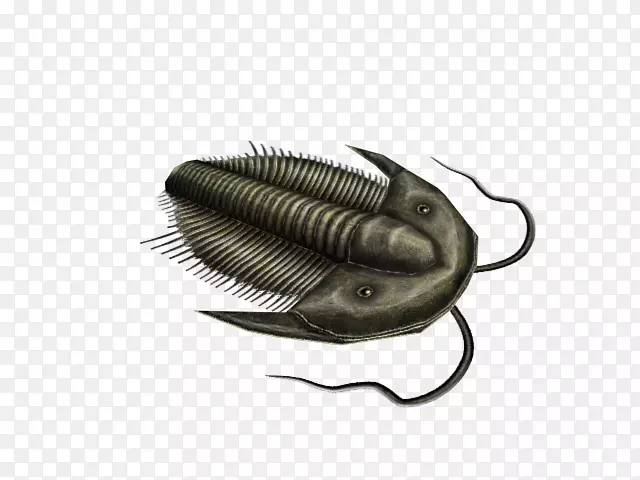 ����-����-������