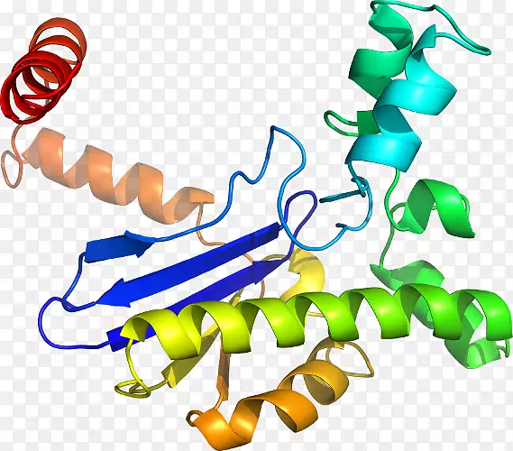 ���������л����߼�������-������