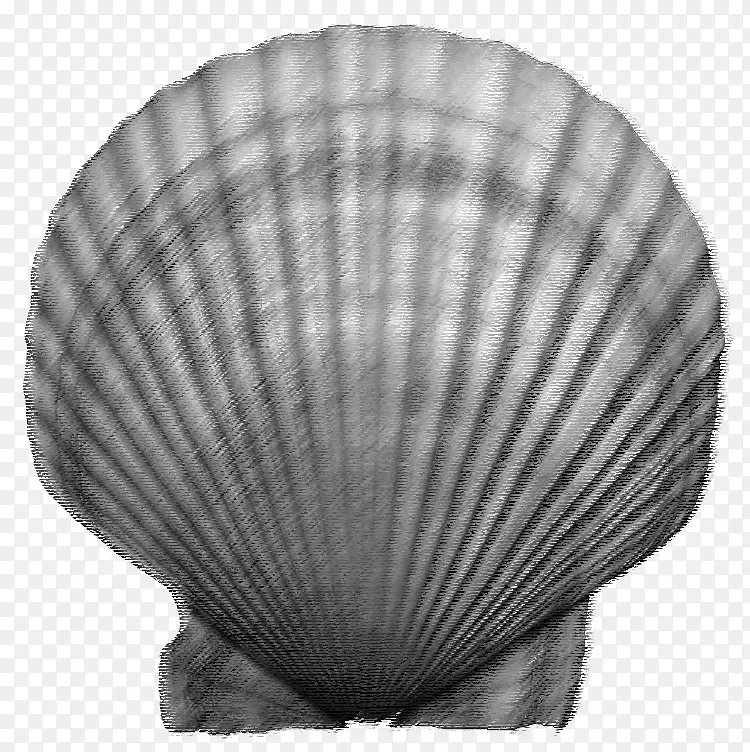 ���ۡ�ĵ�á��ݱ����ȱ�-������