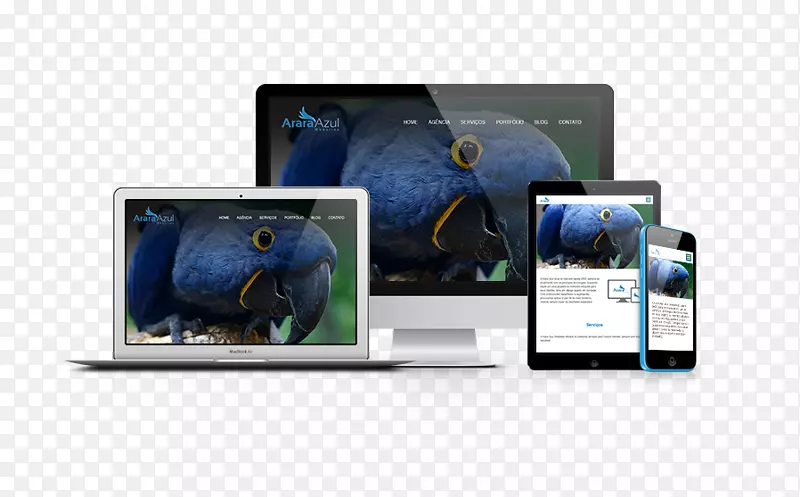 ���Ӳ�Ʒ��ý��Ʒ��-arara-������