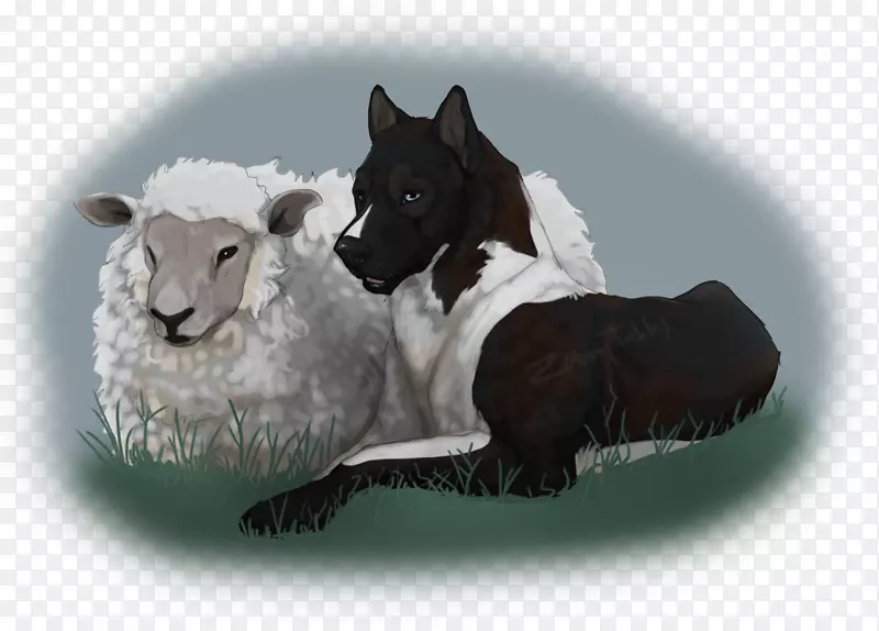 ��ë�����ӣ����ƣ�-��-������