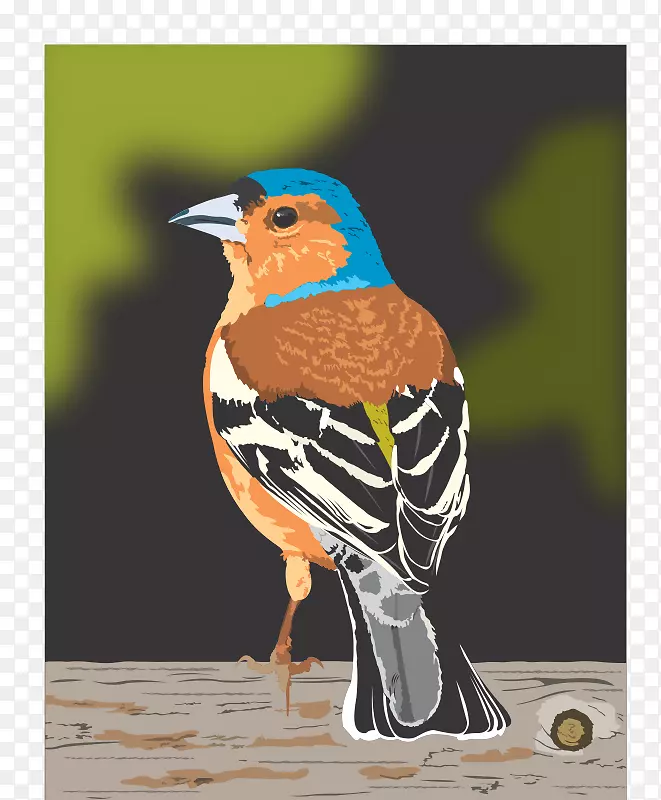 �����������ȸ��������-������