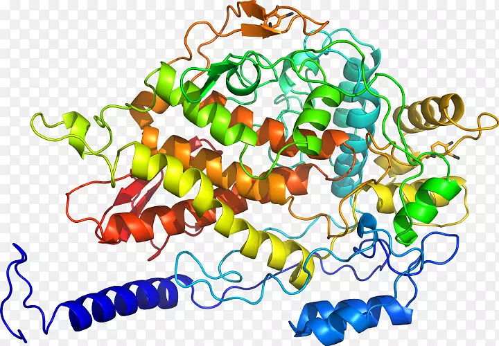 ����ʳ���鱦ϵ�м�������-������