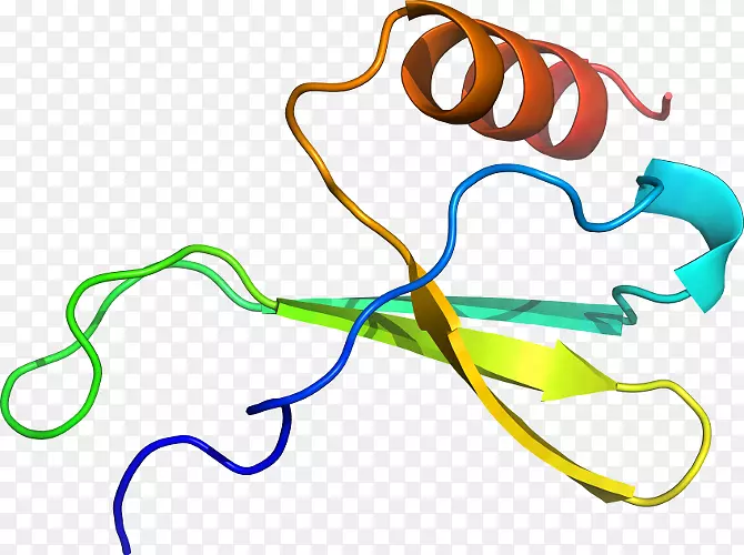 Ҷ�߼�����-������