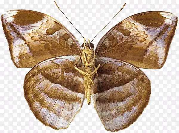 �ҲϺ�����ˢ�ӣ���������������-����-������