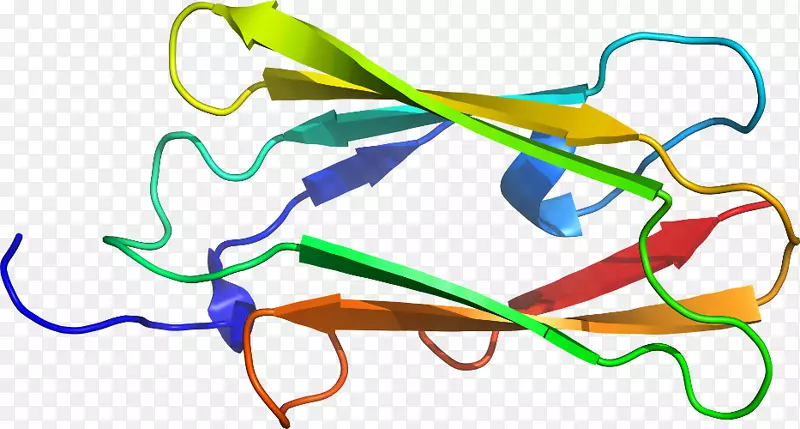 �ߵ������-��-������