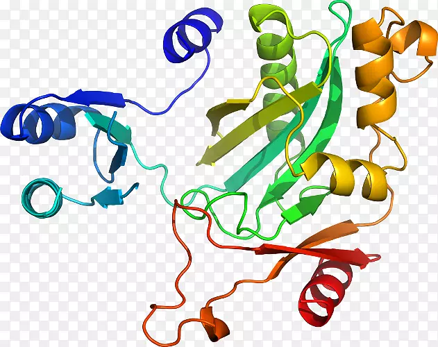 ������Ϊ�л����ߵ��������-������