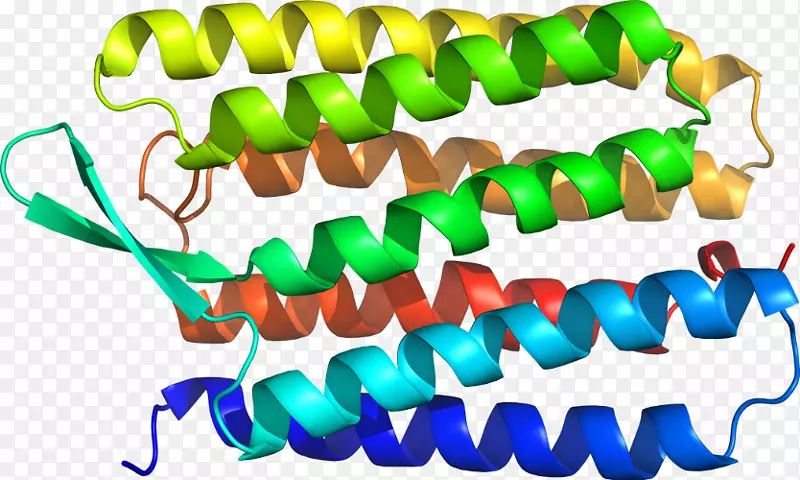 �����鱦������.���-������