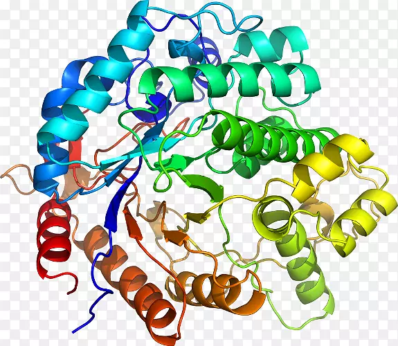 ���߼�����-��-������