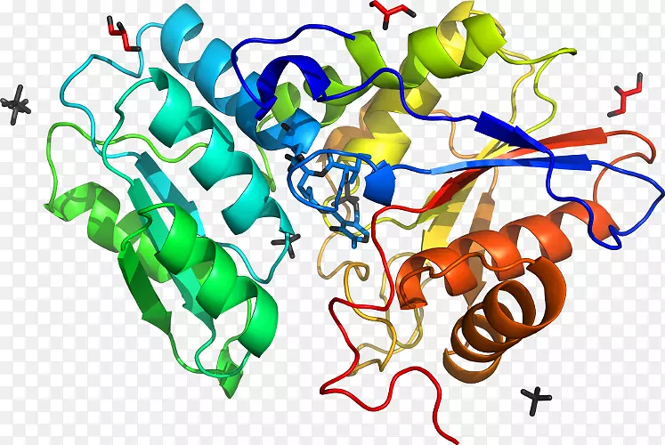 �ߵ������������-������