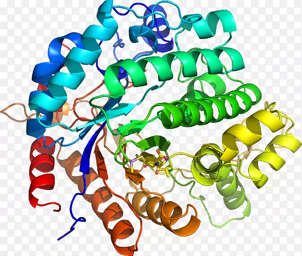 ���������鱦�л�����������鱦����-������