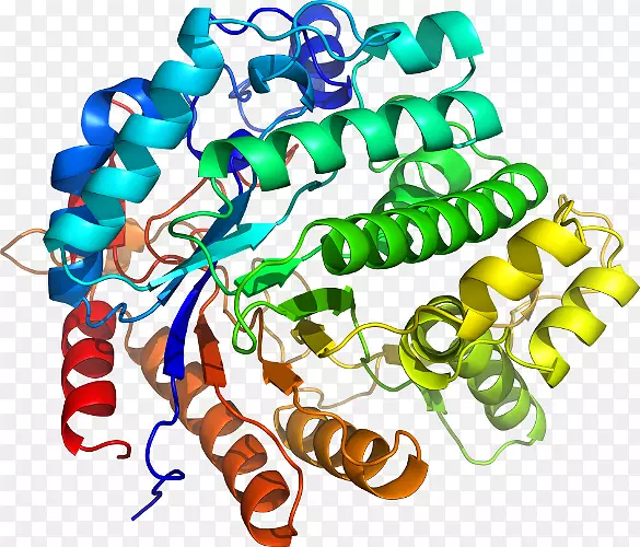 ���������л����߼�������-������