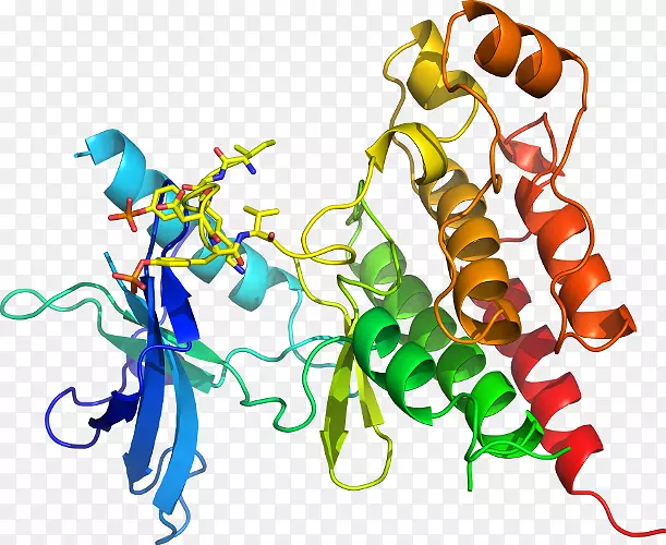 ����ƽ����Ƶ��������-������