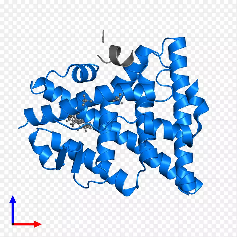 �ߵ������-��-������