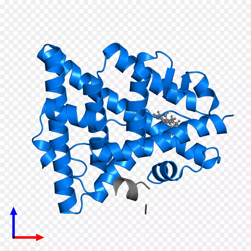 �ߵ������-��-������