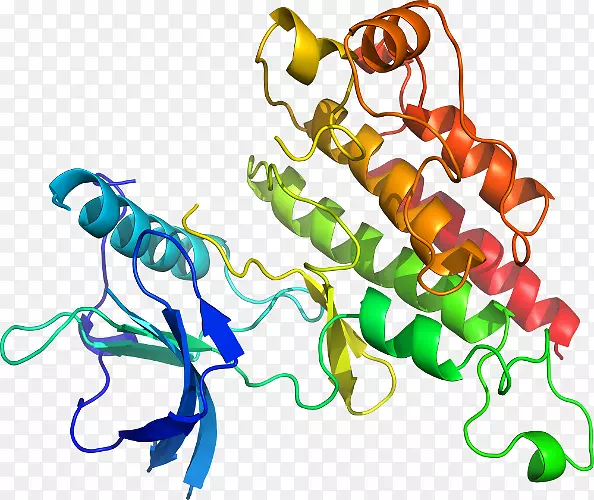 ���������л����߼�������-������