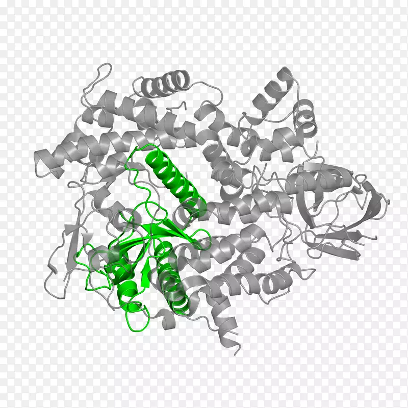 ��־��������-������