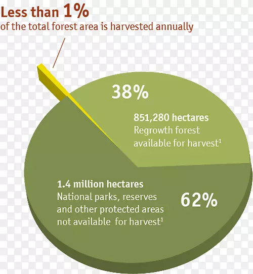 ���Ĵ�����-������